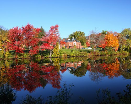 Red and yellow foliage in New England