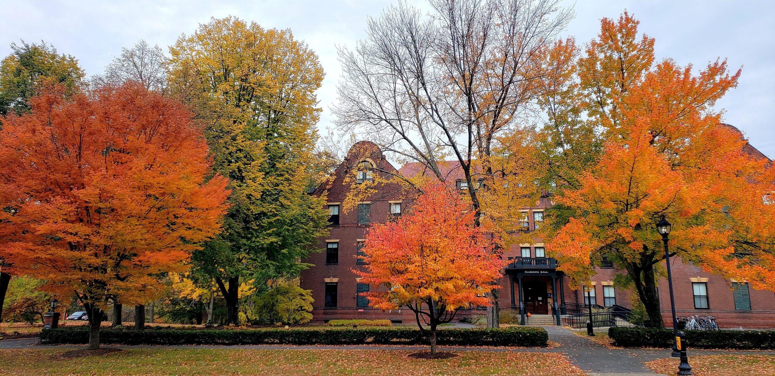 Red and yellow leaves on trees. Brick building in background.